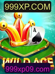 Explorando o Universo Aventura de WildAce
